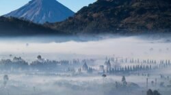 Lagi Banyak Demo, Jangan Panik! Mending Healing ke Dieng Aja
